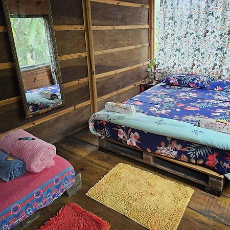 Eco Hostel Organic Life Trindade  Kültér fotó