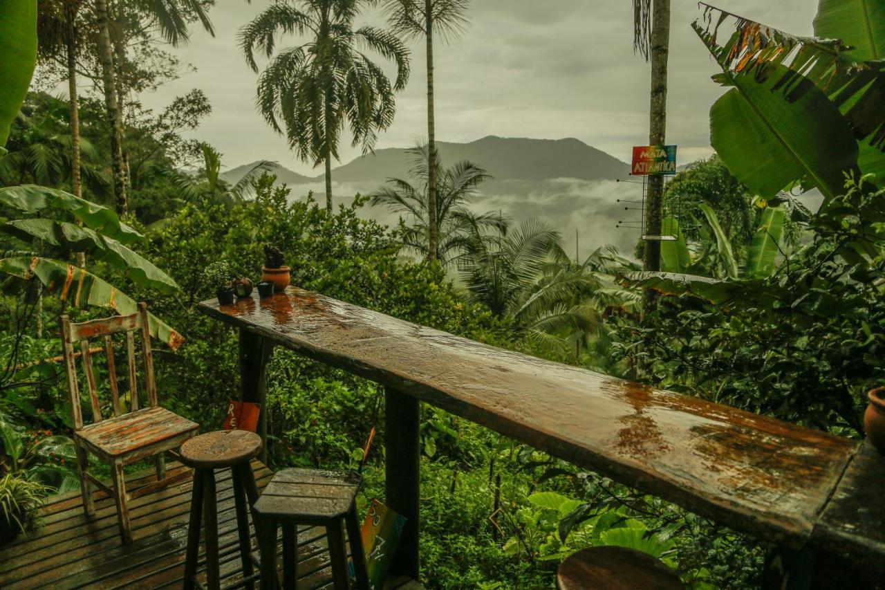 Eco Hostel Organic Life Trindade  Kültér fotó