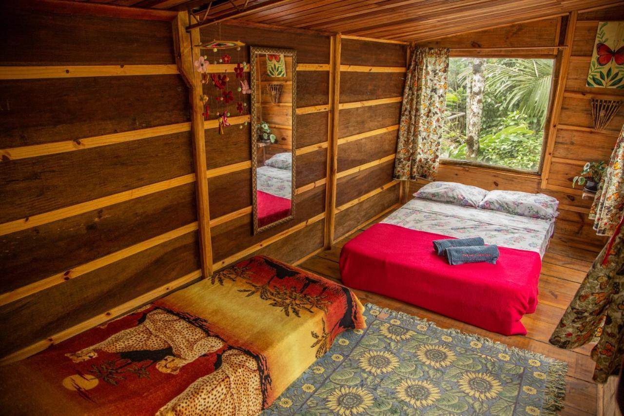 Eco Hostel Organic Life Trindade  Kültér fotó