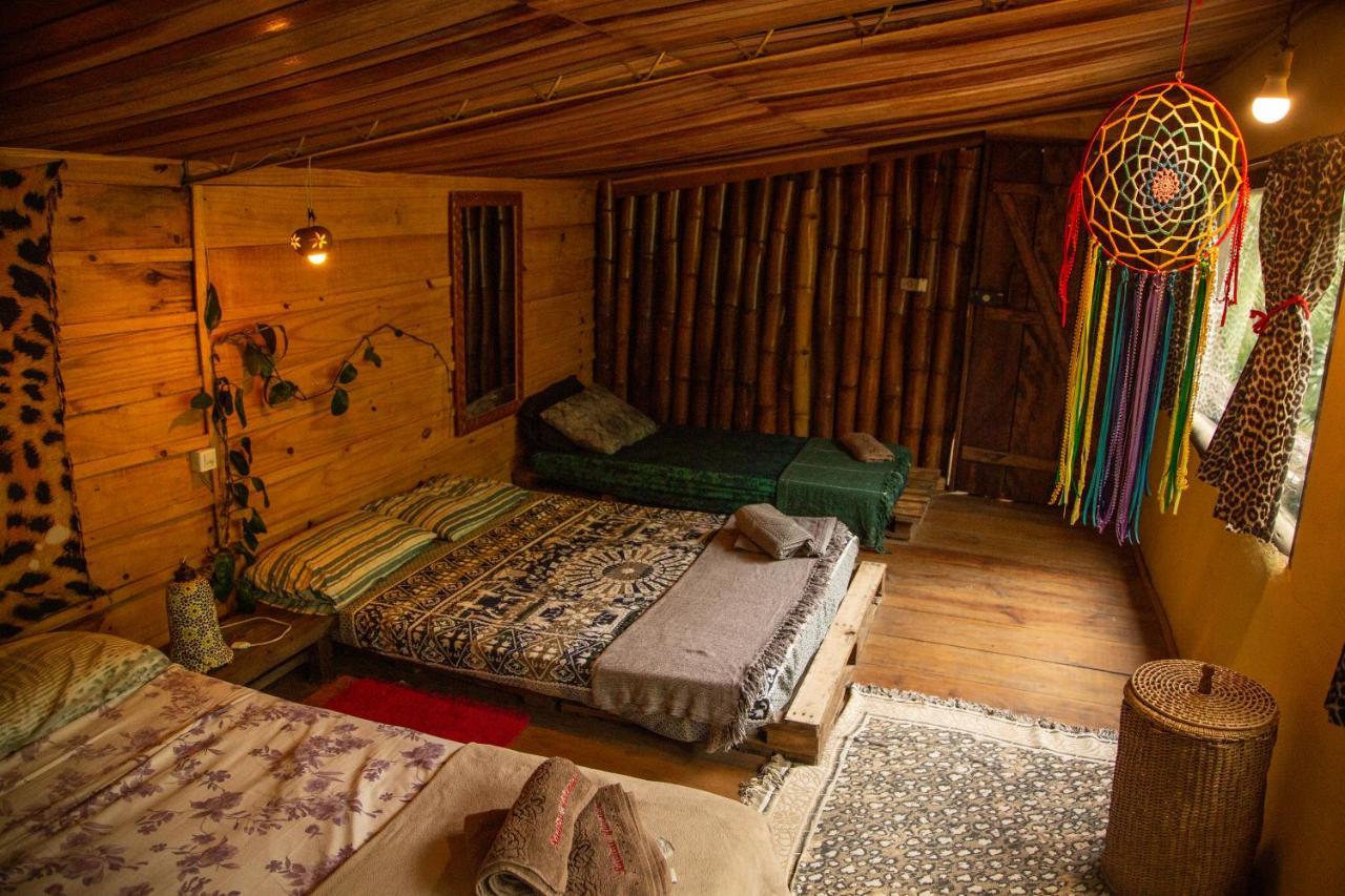 Eco Hostel Organic Life Trindade  Kültér fotó