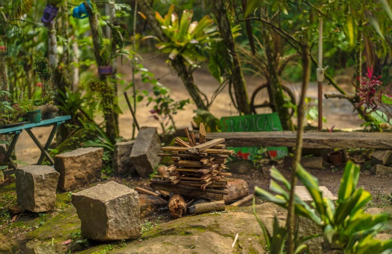 Eco Hostel Organic Life Trindade  Kültér fotó