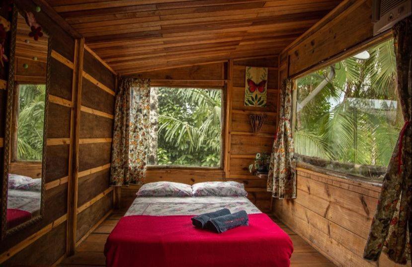 Eco Hostel Organic Life Trindade  Kültér fotó