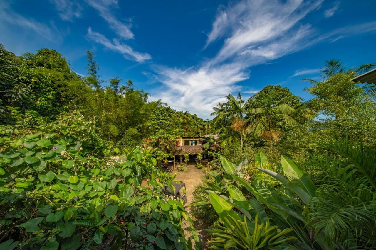 Eco Hostel Organic Life Trindade  Kültér fotó