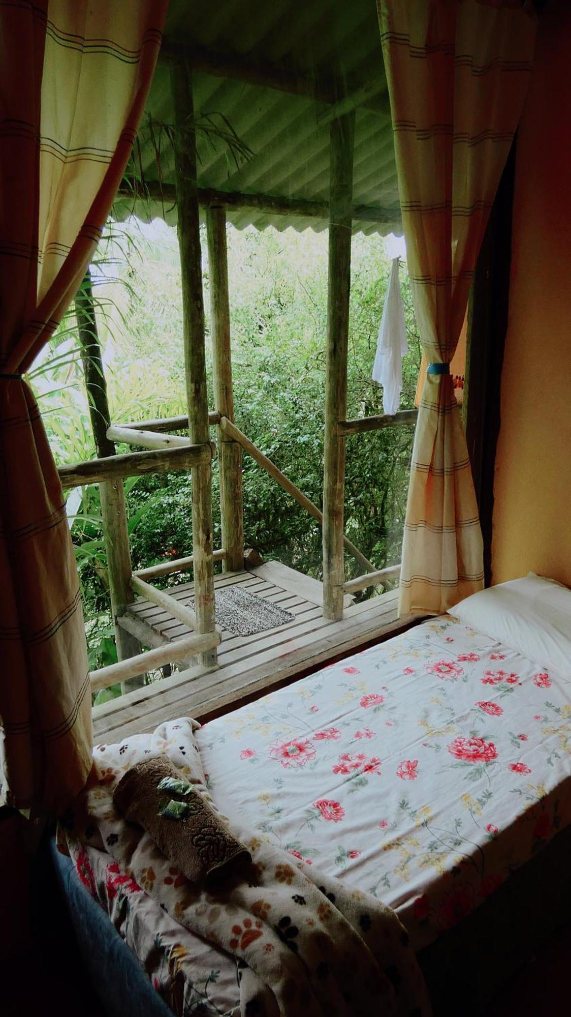 Eco Hostel Organic Life Trindade  Kültér fotó