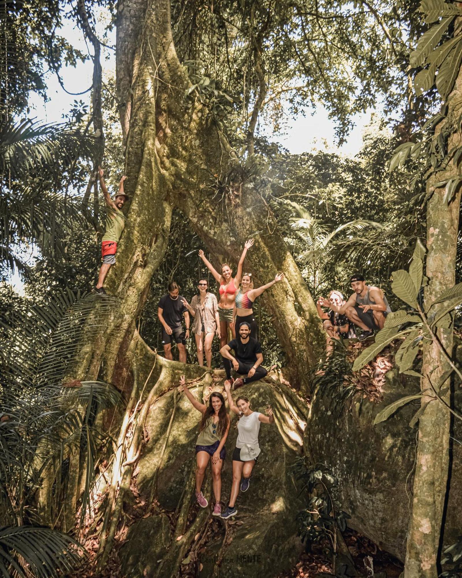 Eco Hostel Organic Life Trindade  Kültér fotó