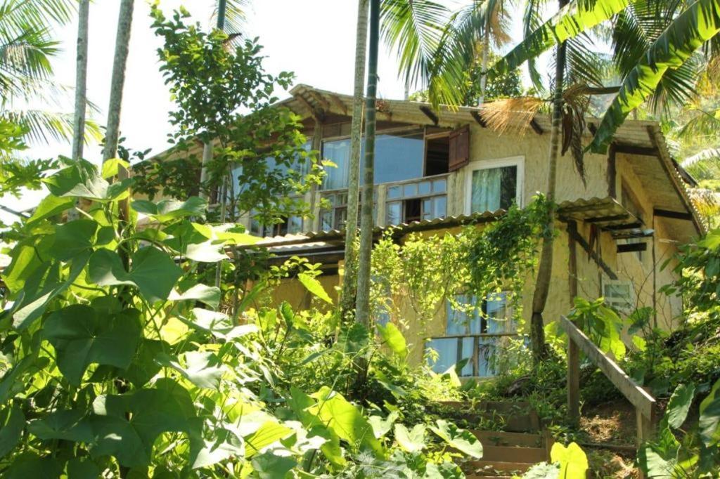 Eco Hostel Organic Life Trindade  Kültér fotó